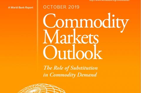 Commodity Markets Outlook