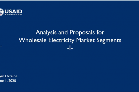 Analysis and Proposals for Wholesale Electricity Market Segments